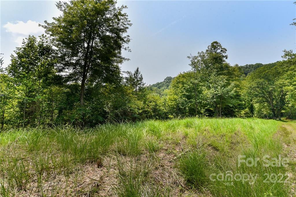 441 The Vines Boulevard #15 - Photo 3