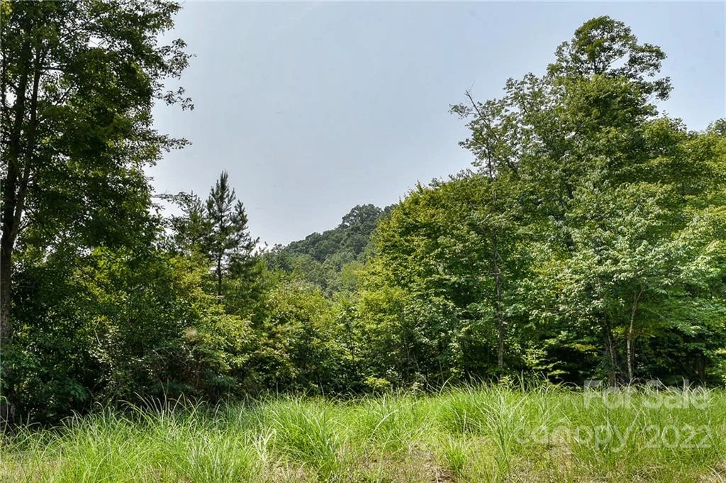 441 The Vines Boulevard #15 - Photo 4