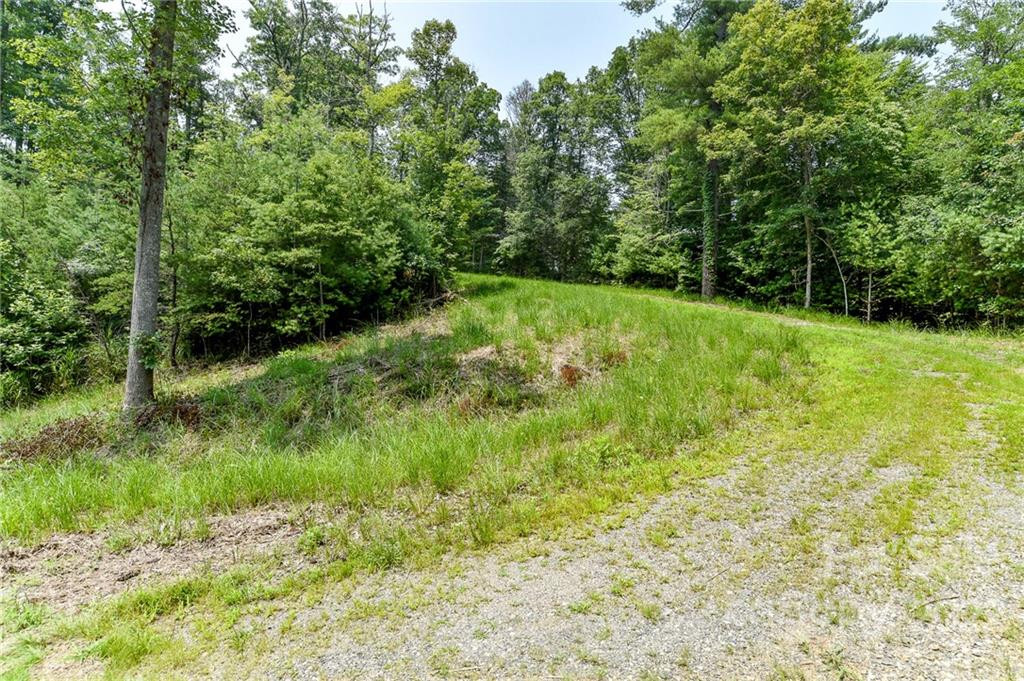 301 The Vines Boulevard #20 - Photo 2