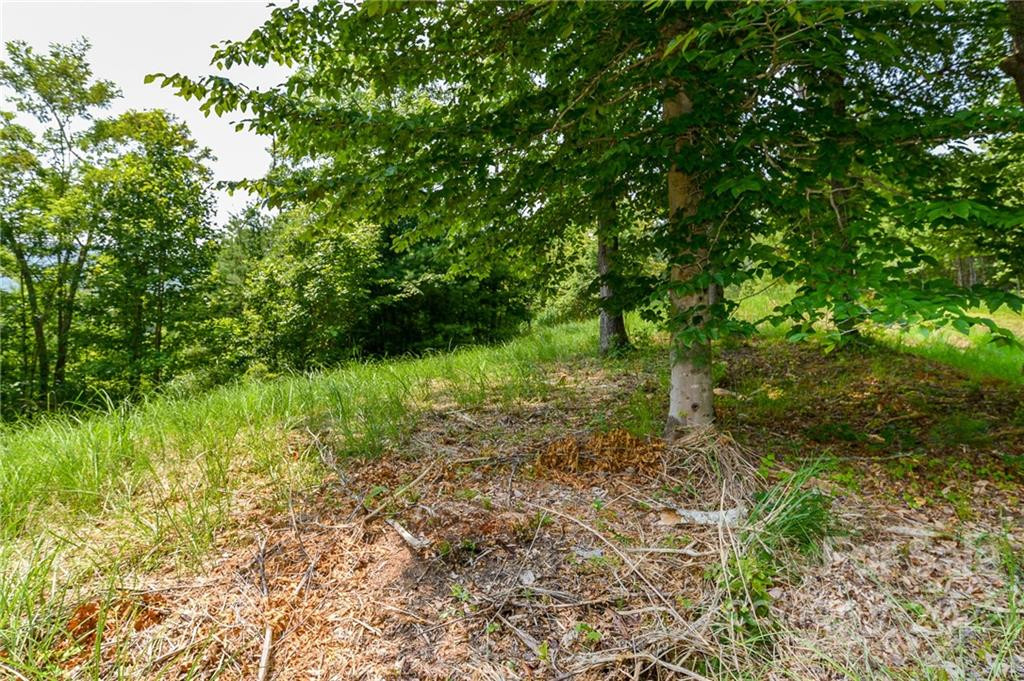 319 The Vines Boulevard #21 - Photo 2