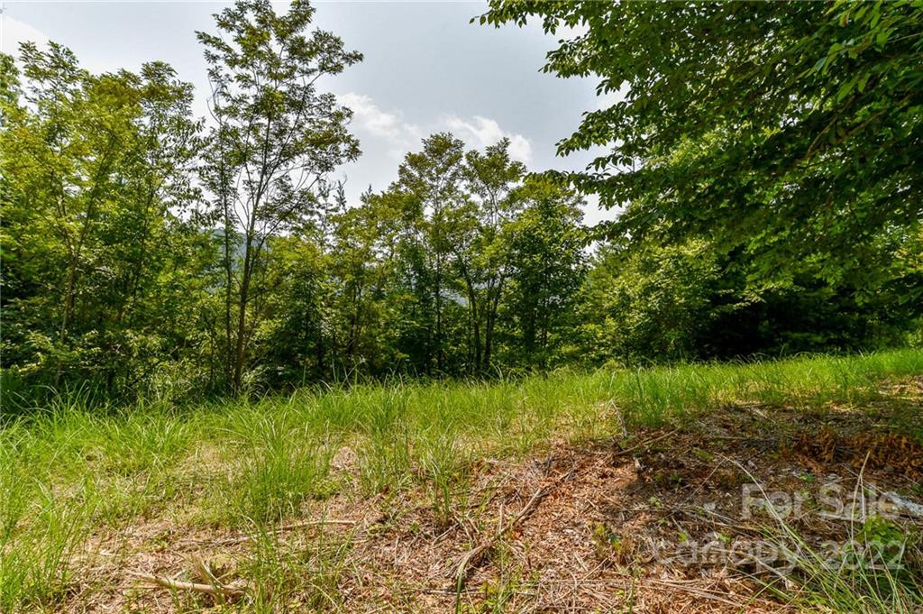 319 The Vines Boulevard #21 - Photo 3