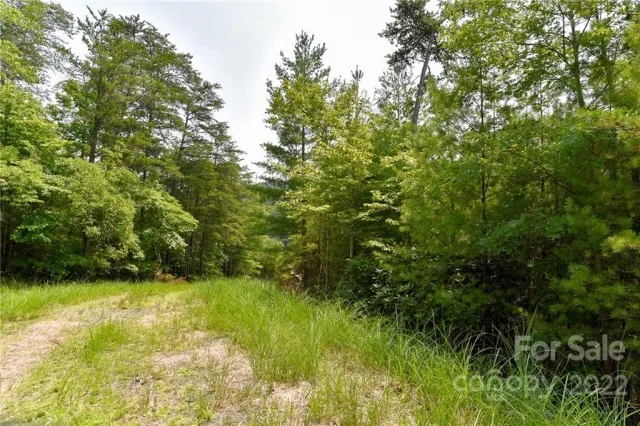 Lot 22 The Vines Boulevard