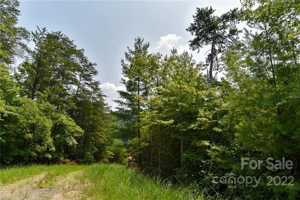 Lot 22 The Vines Boulevard #Lot 22 - Photo 2