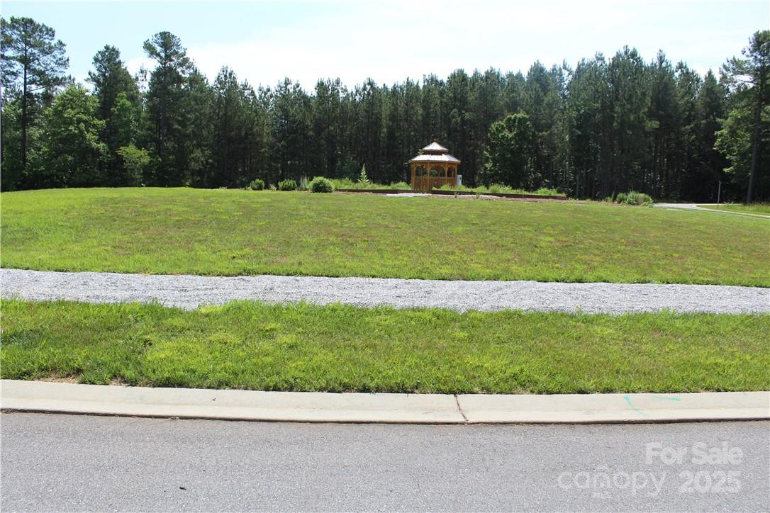 218 Table Rock Trace #166 - Photo 24