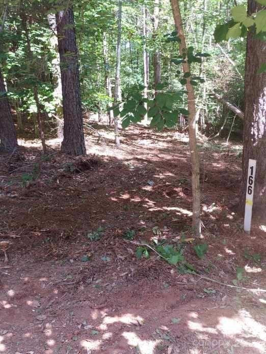 218 Table Rock Trace #166 - Photo 4