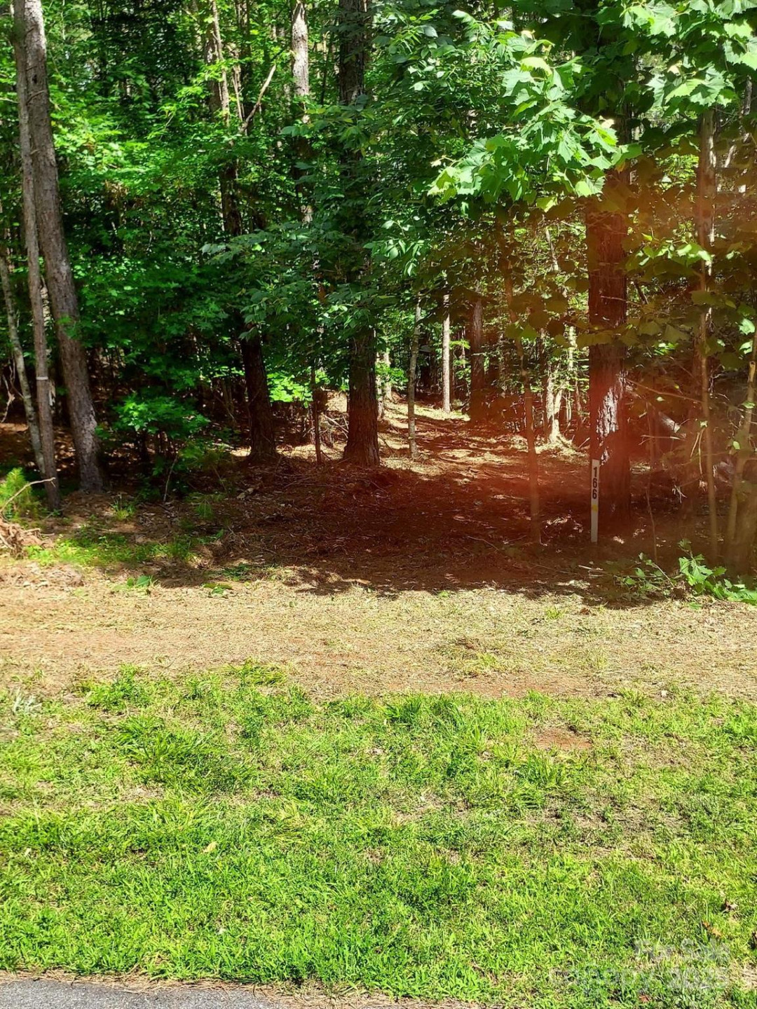 218 Table Rock Trace #166 - Photo 5