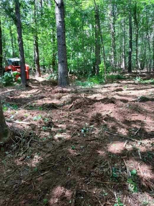 218 Table Rock Trace #166 - Photo 6