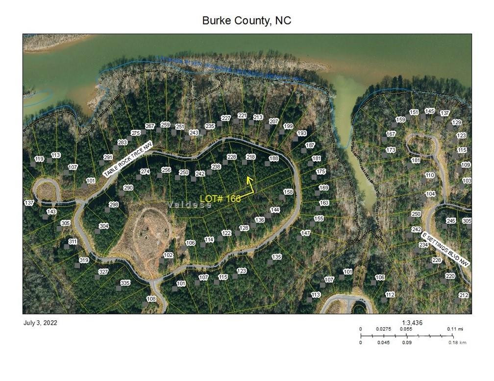 218 Table Rock Trace #166 - Photo 8