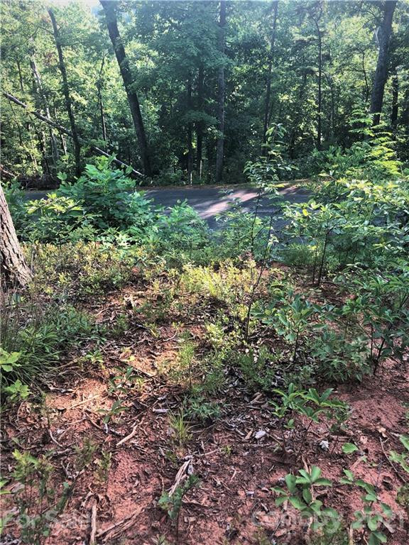 0 Lure Ridge Drive #27 - Photo 11