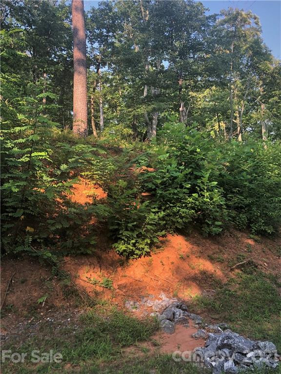 0 Lure Ridge Drive #27 - Photo 12