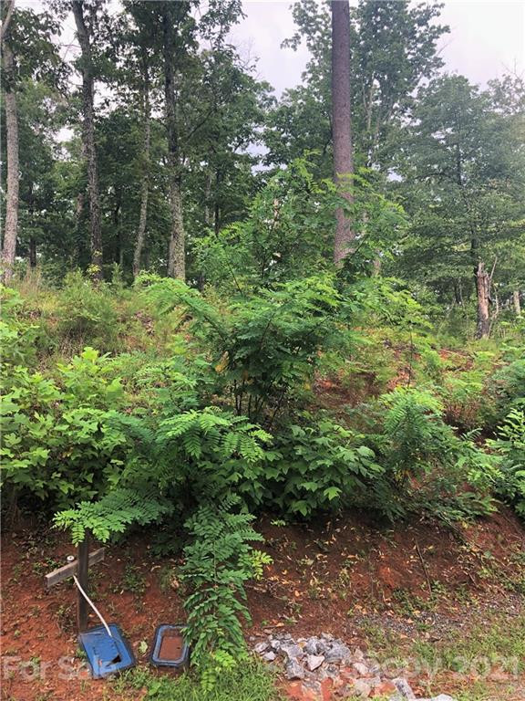 0 Lure Ridge Drive #27 - Photo 13