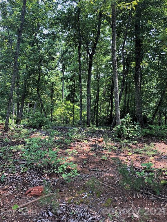 0 Lure Ridge Drive #27 - Photo 3