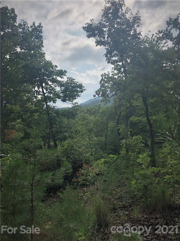 0 Lure Ridge Drive #27 - Photo 4