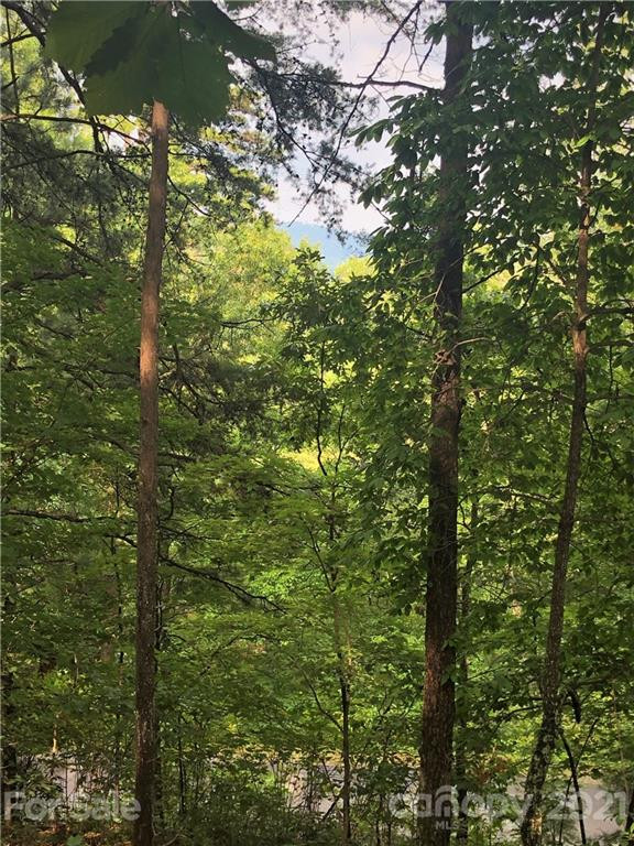 0 Lure Ridge Drive #27 - Photo 5