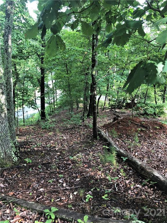 0 Lure Ridge Drive #26 - Photo 4