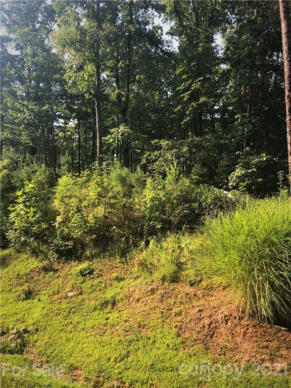 0 Lure Ridge Drive #26 - Photo 5