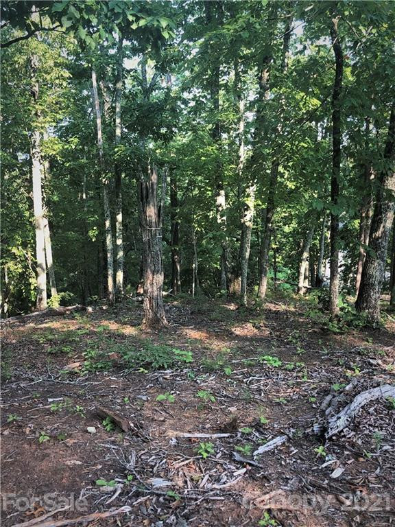 0 Lure Ridge Drive #26 - Photo 7