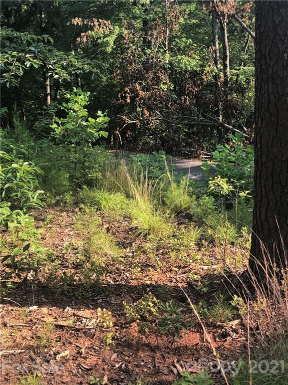 0 Lure Ridge Drive #26 - Photo 8