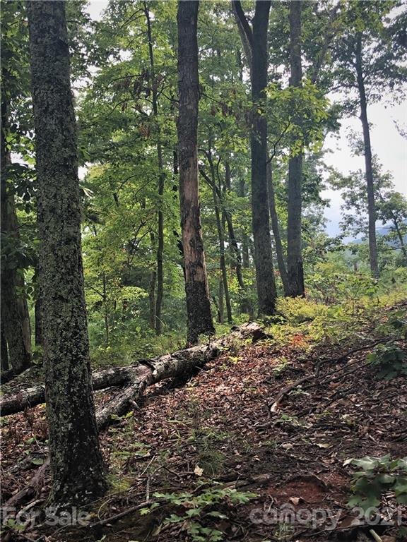 0 Lure Ridge Drive #26 - Photo 9