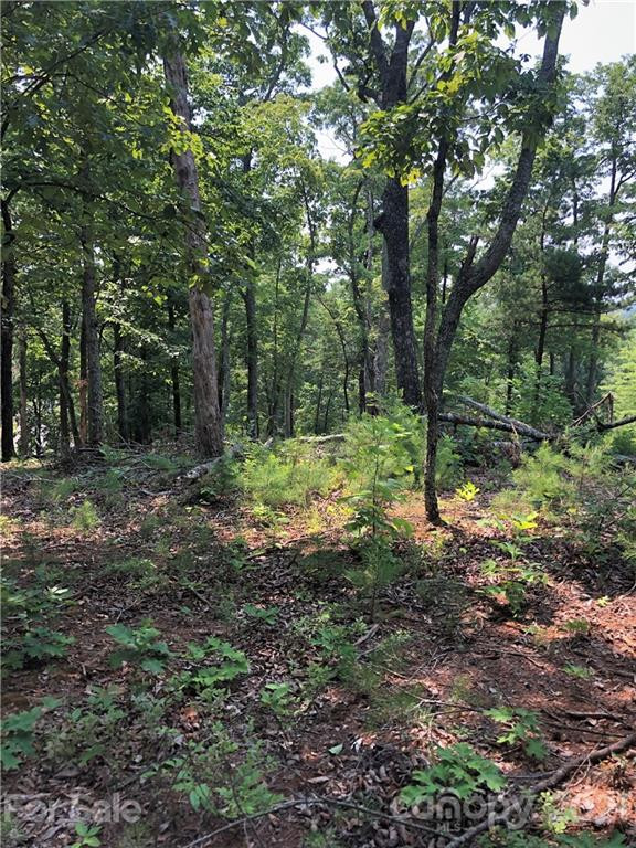 0 Lure Ridge Drive #26 - Photo 10