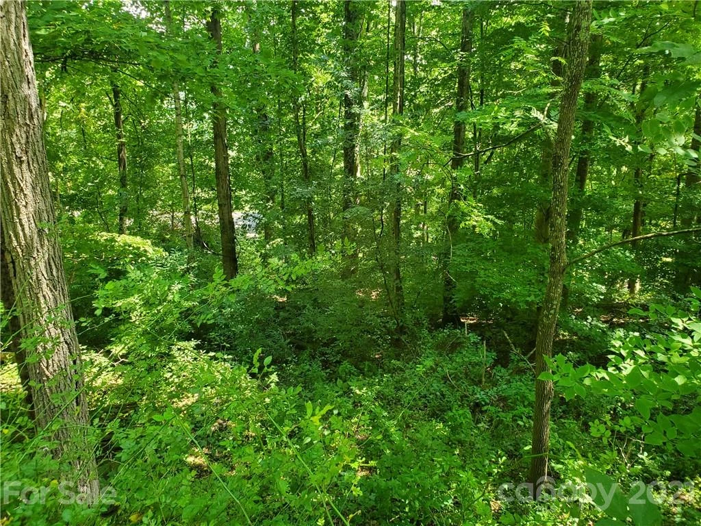 32 Fox Run #A 32 - Photo 3