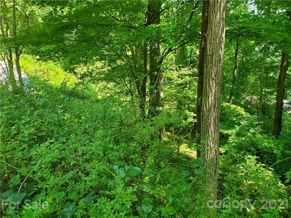 32 Fox Run #A 32 - Photo 4