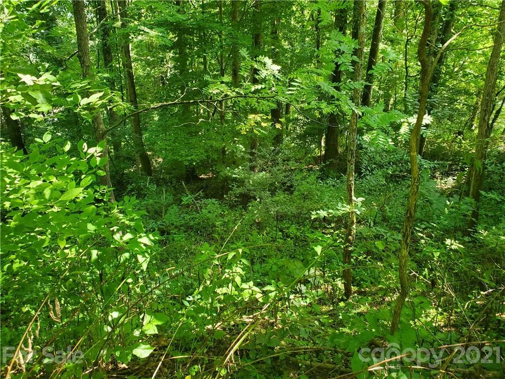 32 Fox Run #A 32 - Photo 5