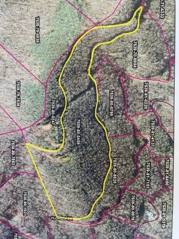 Lot64 Mountain Forest Estates Road