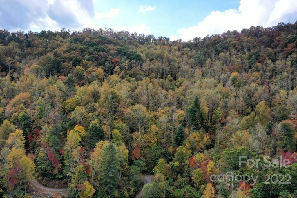Lot64 Mountain Forest Estates Road - Photo 2