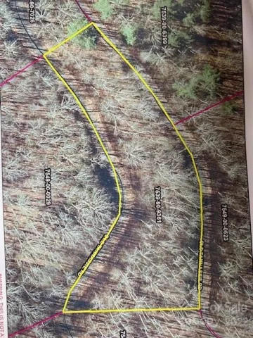 Lot 48 Mountain Forest Estates Road, Sylva, NC, 28779
