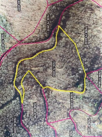 Lot 70 Mountain Forest Estates Road
