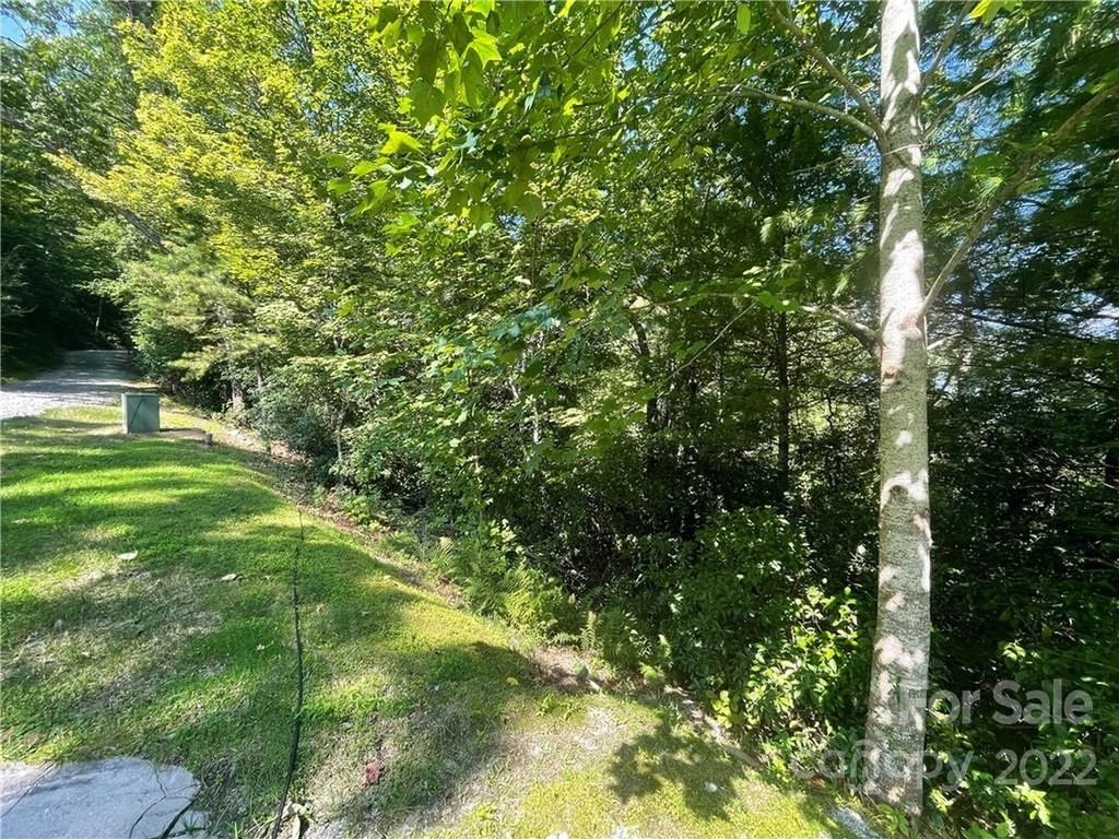 99999 Pine Mountain Trail #M37 - Photo 2