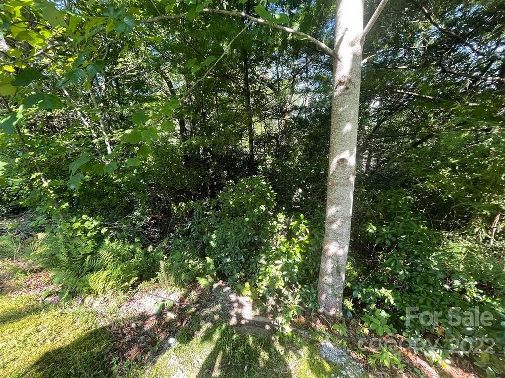 99999 Pine Mountain Trail #M37 - Photo 3