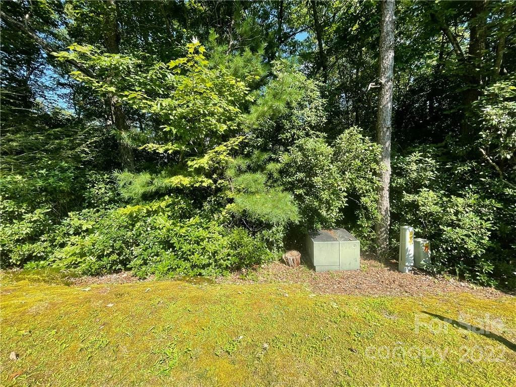 99999 Pine Mountain Trail #M37 - Photo 5