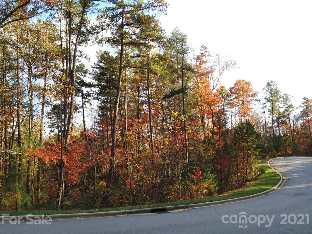 Upper Camptown Road #M106 - Photo 2
