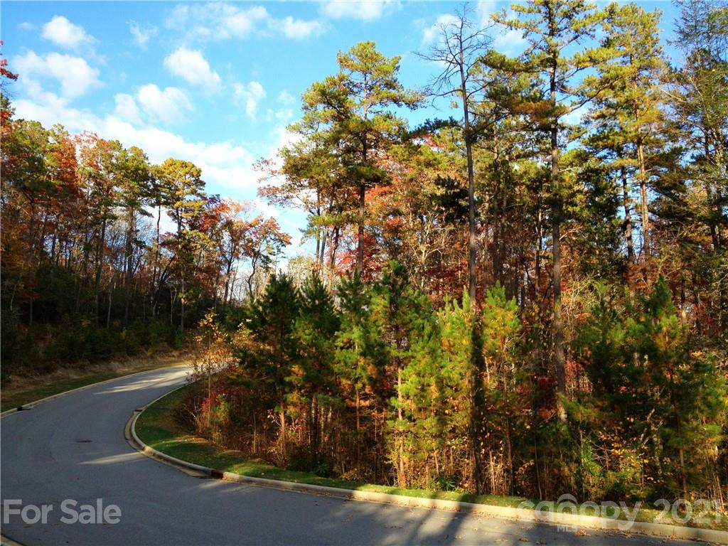 Upper Camptown Road #M106 - Photo 4