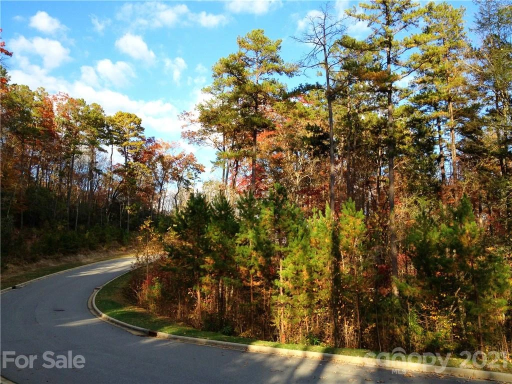 Upper Camptown Road #M106 - Photo 4