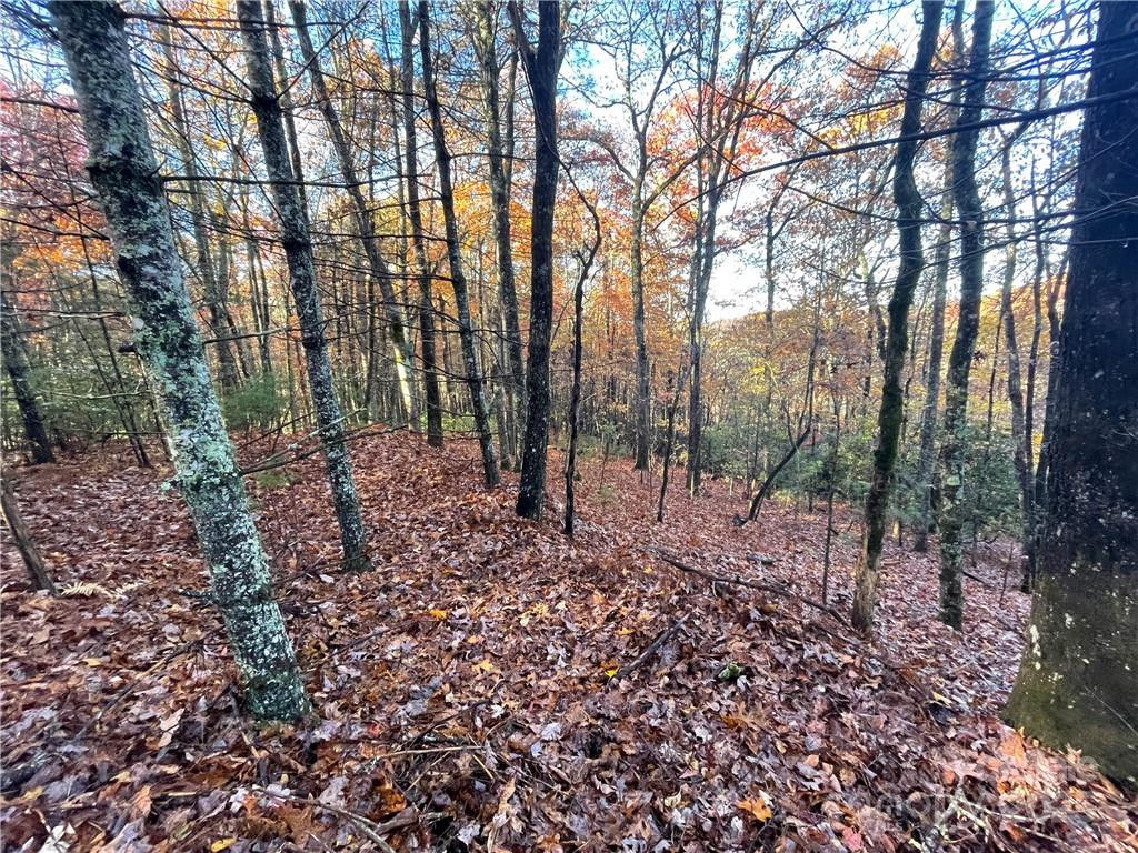 9999 Sassafras Road #4 - Photo 11