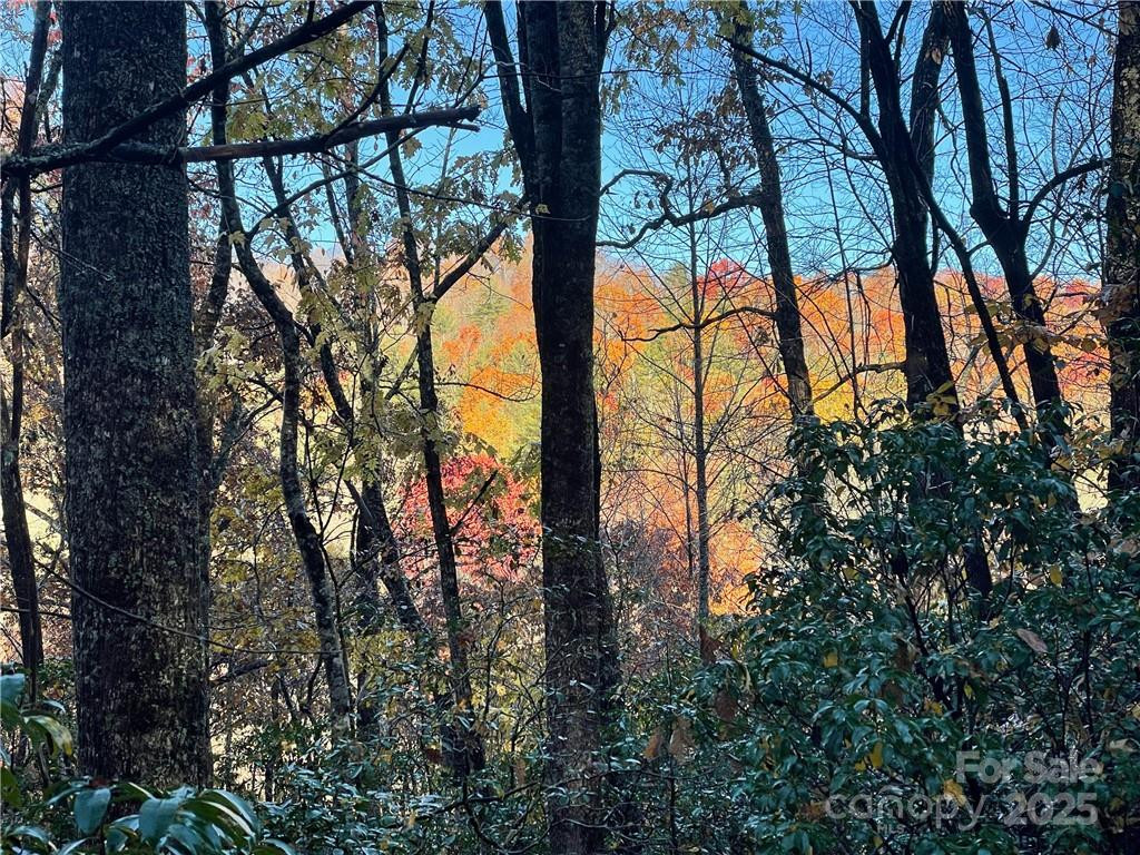 9999 Sassafras Road #4 - Photo 12