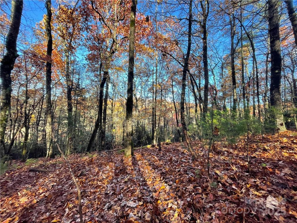 9999 Sassafras Road #4 - Photo 13