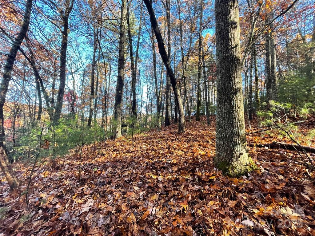 9999 Sassafras Road #4 - Photo 14