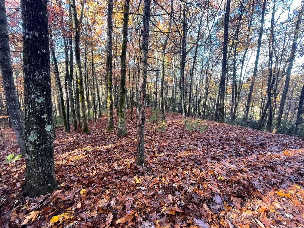 9999 Sassafras Road #4 - Photo 15