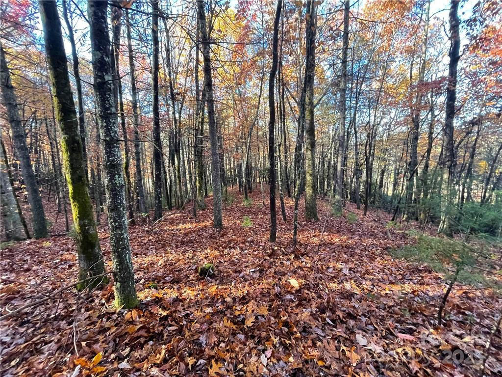 9999 Sassafras Road #4 - Photo 16