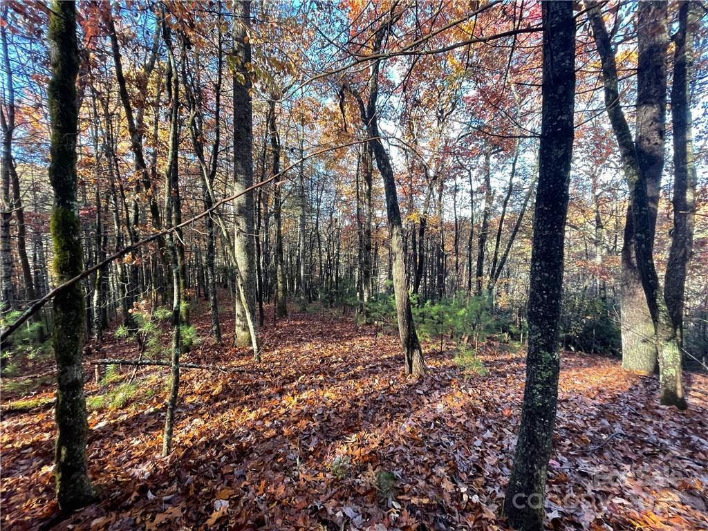 9999 Sassafras Road #4 - Photo 17