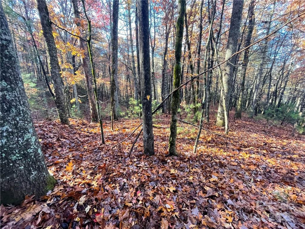 9999 Sassafras Road #4 - Photo 18