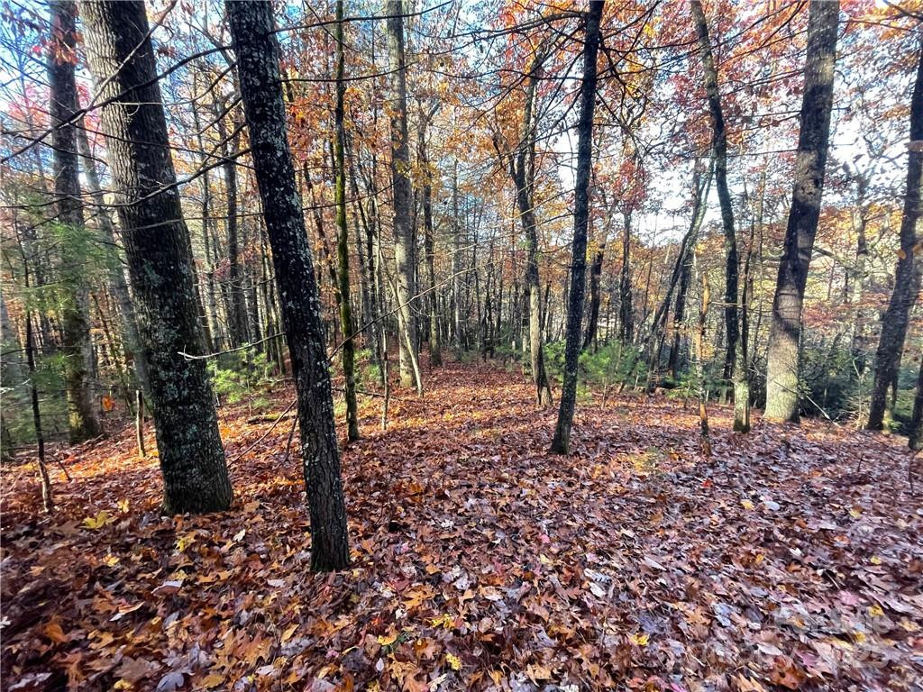 9999 Sassafras Road #4 - Photo 19