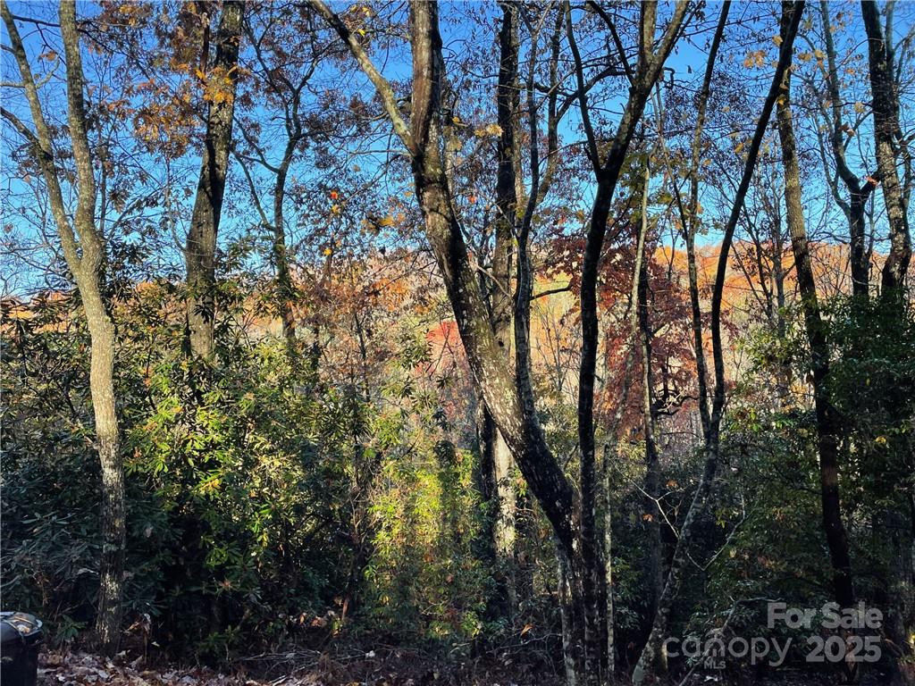 9999 Sassafras Road #4 - Photo 20