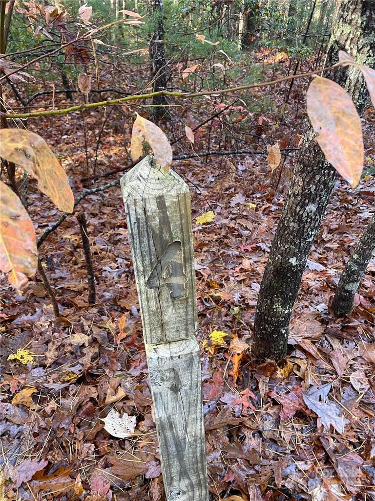 9999 Sassafras Road #4 - Photo 21