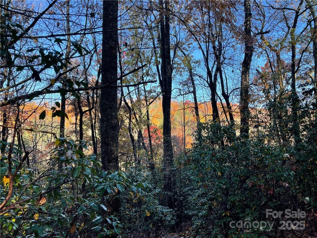 9999 Sassafras Road #4 - Photo 22