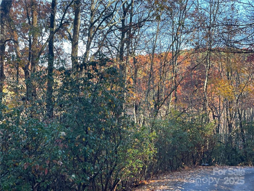 9999 Sassafras Road #4 - Photo 23